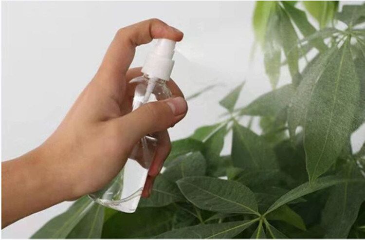 100 ml 120 ml 355 ml di plastica con tappo a vite ugello pompa spruzzatore bottiglia per animali da compagnia detergente per mani bottiglia spray produttore